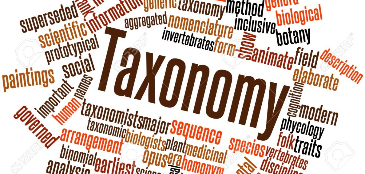 Taxonomy
